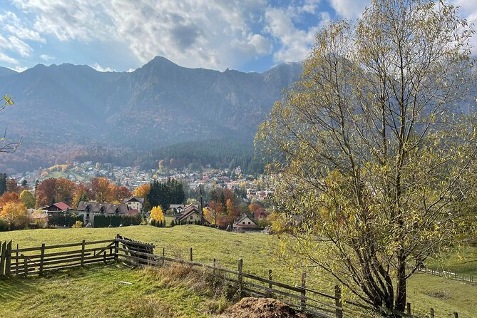 1 Day ATV Tour in Carpathian Mountains - Price Breakdown: Why It Can Be a Good Deal (and When It Might Not Be)