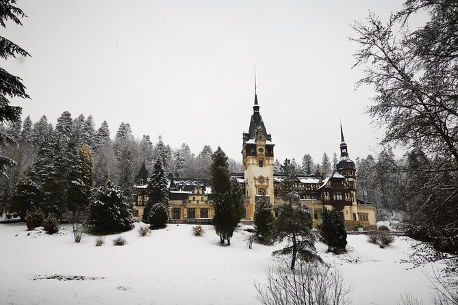 1 Day Castles Tour - Sinaia and Bran - The optional gondola ride to 2100 meters: a view break with a ticket