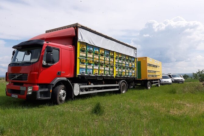 10 hours Private Apiary Tour in Romania - From Bucharest - Road trip to Vâlcea County: plan for a long, scenic car ride
