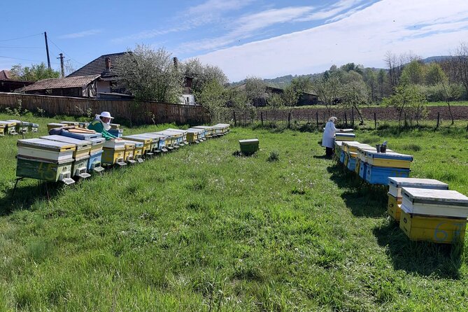 10 hours Private Apiary Tour in Romania - From Bucharest - Curtea de Argeș Monastery: a fast history stop that fits the day