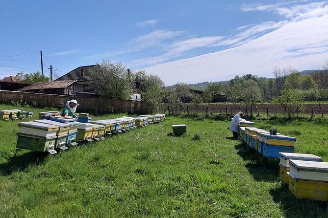 10 hours Private Apiary Tour in Romania - From Bucharest - Price and value: where the $290.89 per person makes sense