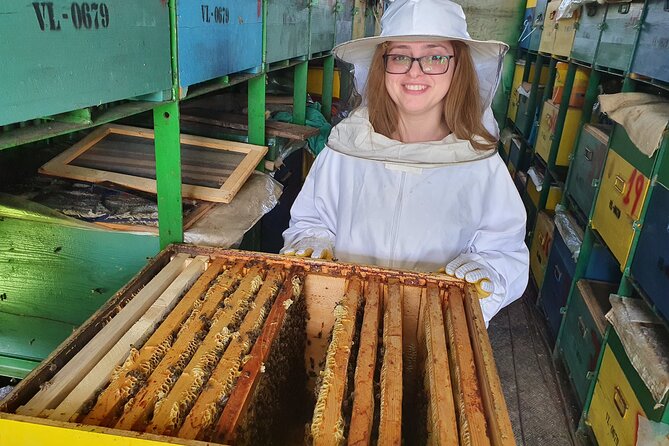 10 hours Private Apiary Tour in Romania - From Bucharest - The apiary walk: how beekeeping and honey harvesting come together