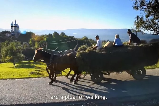 2 Days Private Tour Transfagarasan Road & Sibiu from Bucharest - Why This Private Bucharest to Transfagarasan Setup Makes Sense