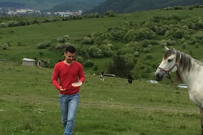 2 Days Private Tour Transfagarasan Road & Sibiu from Bucharest - Cozia Monastery and Calimanesti Springs: A Calm Finish to a Big Drive