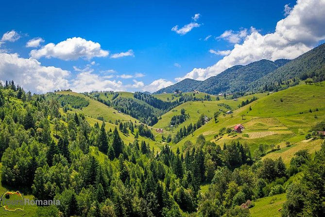3-Day Tour from Bucharest: Transylvania Villages and Medieval Towns - Day 1: Peles Castle, Bran Castle, and the Slow Countryside of Magura
