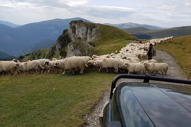 4x4 Driving Experience at Flying Altitudes - 7 Days - Day 6: Sinca Veche monastery, Barsa Land off-road, and coffee with Piatra Craiului views
