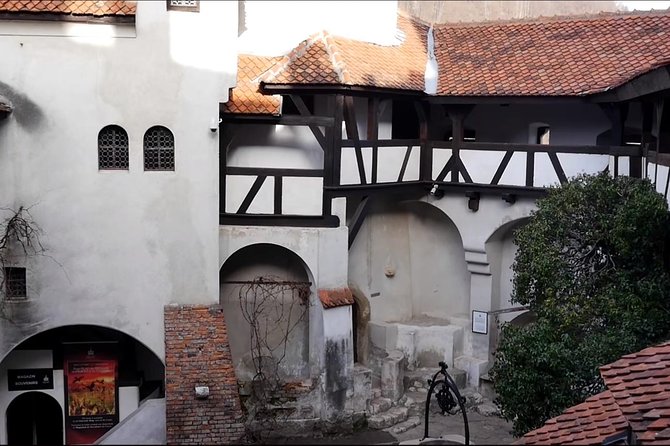 5 Days Private Tour in Romania from Bucharest to Transylvania - What to expect in terms of comfort, pace, and photos