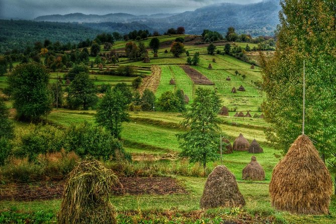 A Journey Back in Time: Countryside from Transylvania and Maramures - 15 Days - Bucharest First: Get Your Bearings, Then Head Out