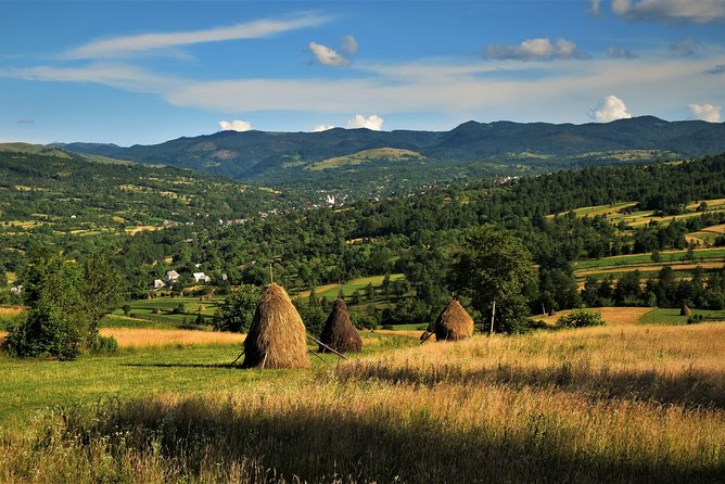 A Journey Back in Time: Countryside from Transylvania and Maramures - 15 Days - Bran Castle, Rasnov Citadel, and the Bear Sanctuary Pause