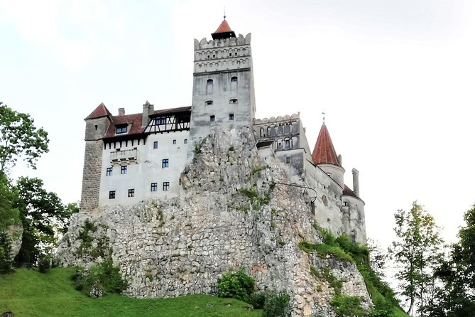Bear Sanctuary and Dracula's Castle, 1-day Private Tour - The ride and pacing: how the day feels in real life