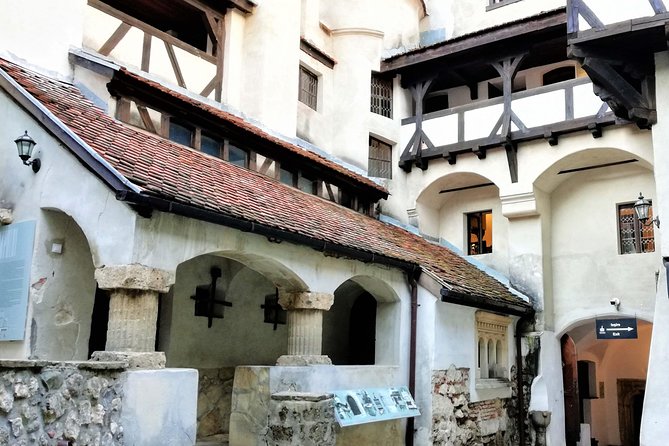 Bear Sanctuary and Dracula's Castle, 1-day Private Tour - What to wear and bring for bears plus castle stairs