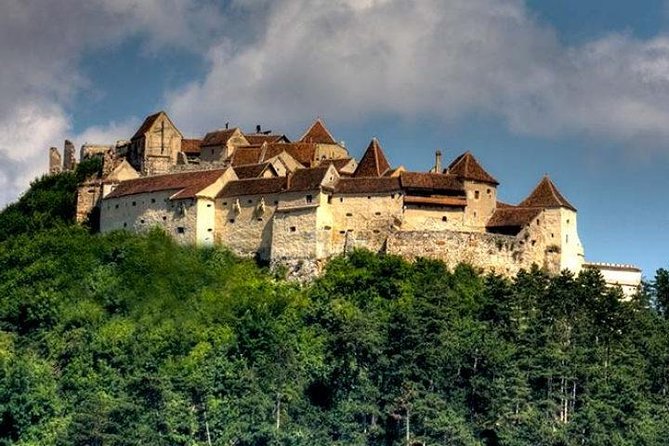 Bear Sanctuary & Rasnov Fortress - Private day tour from Bucharest - Should you book this private bear sanctuary and Rasnov fortress day?