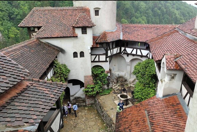 Bears Sanctuary, Dracula's Castle and Brașov City - Private Tour - A full-day plan that balances animal rescue, legend, and a real city