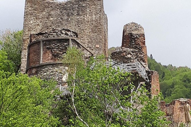 Bears Sanctuary, Dracula's Castle, Brasov Day Trip Private Tour from Bucharest - What you’ll pay extra for: tickets and meals
