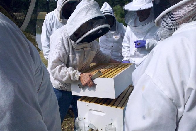 Beekeeping Day Trip| Private Guided Tour from Bucharest - Leaving Bucharest for Valcea County, the day starts calm