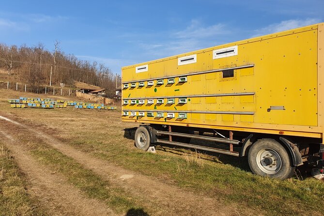 Beekeeping Day Trip| Private Guided Tour from Bucharest - Traditional Romanian lunch from ecological sources