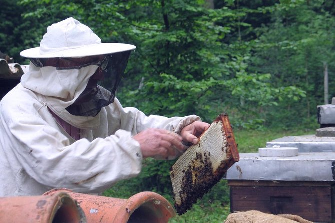 Beekeeping Day Trip| Private Guided Tour from Bucharest - Price and logistics: is $413.44 per person good value?