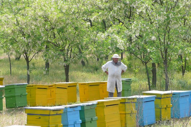 Bees Adventure in Romania - Private Day Trip from Bucharest - Key highlights before you go