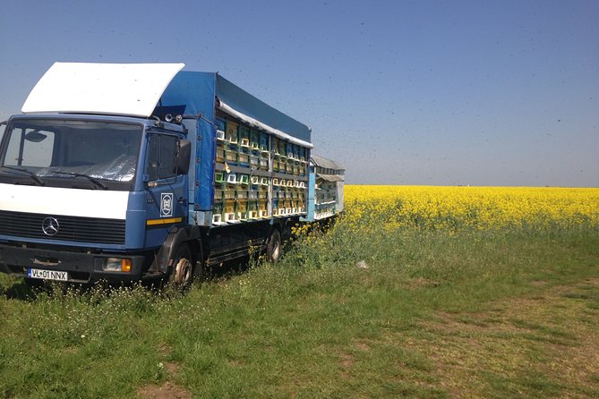 Bees Adventure in Romania - Private Day Trip from Bucharest - Bucharest to Valcea County: trading traffic for hive time