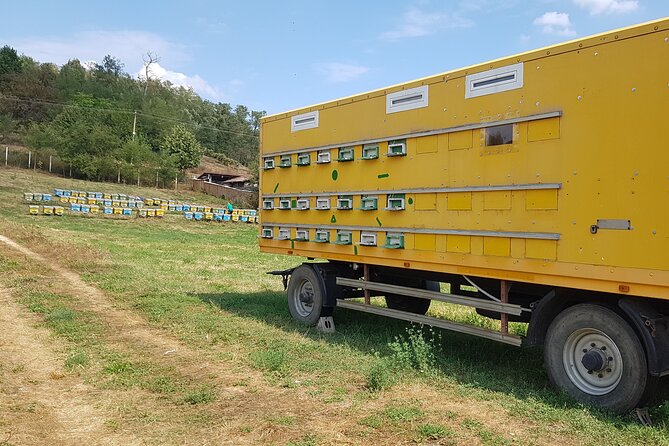 Bees Adventure in Romania - Private Day Trip from Bucharest - Lunch and the Romanian countryside break you will appreciate