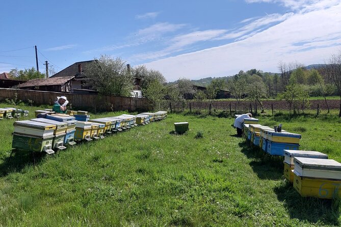 Bees Adventure in Romania - Private Day Trip from Bucharest - Price and value: is $289.40 worth it?