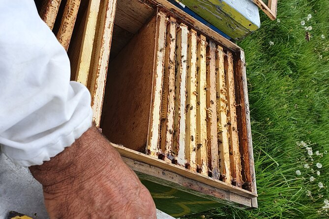 Bees Adventure in Romania - Private Day Trip from Bucharest - Meet Nicolas and his father’s bees, the real heart of the trip