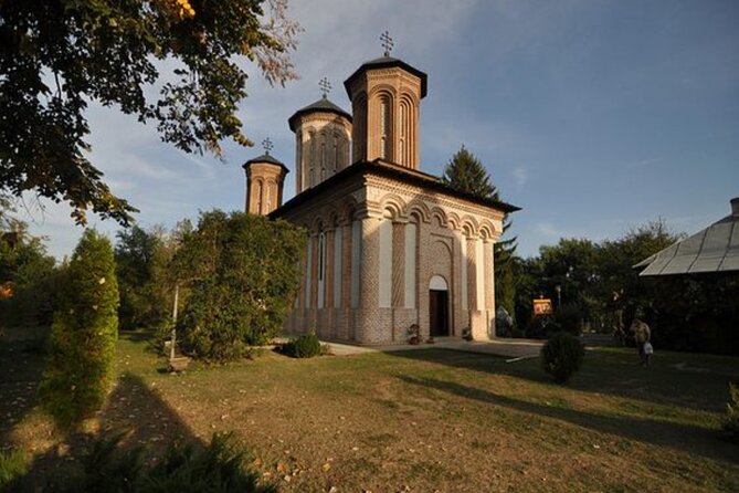 Bison Sanctuary, Vlad the Impaler Princely Court & Dracula Grave - Should You Book This Bison and Vlad Tepes Circuit?