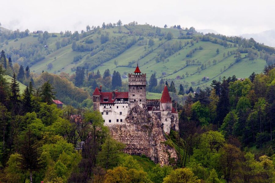 Bran: Guided Castle Tour - Entering the castle: from fortress history to modern room access