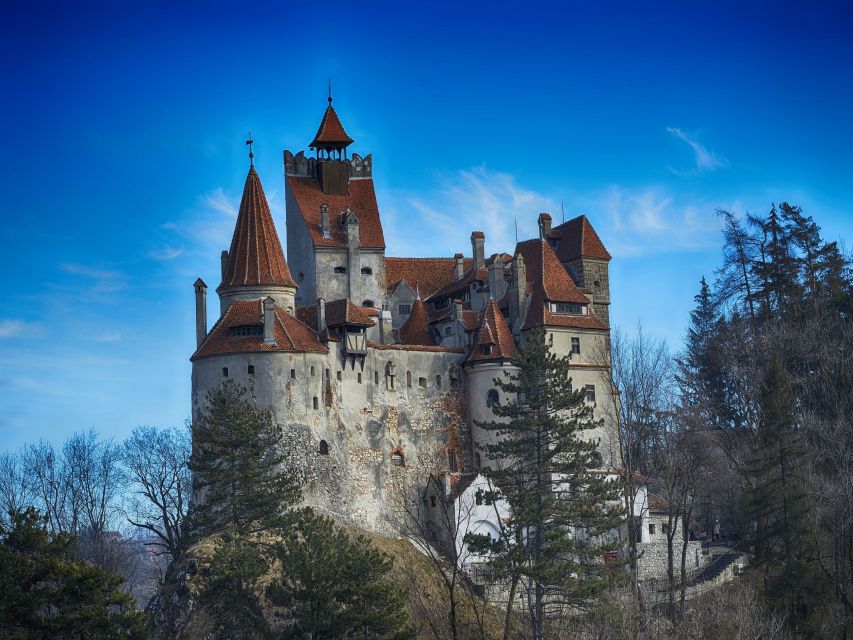 Bran: Guided Castle Tour - Good to know before you go