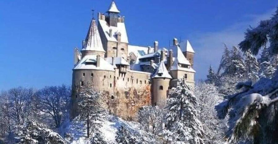 Brasov: Bran, Peles and Cantacuzino Castles Day Tour - What the Small Group Means for Your Day