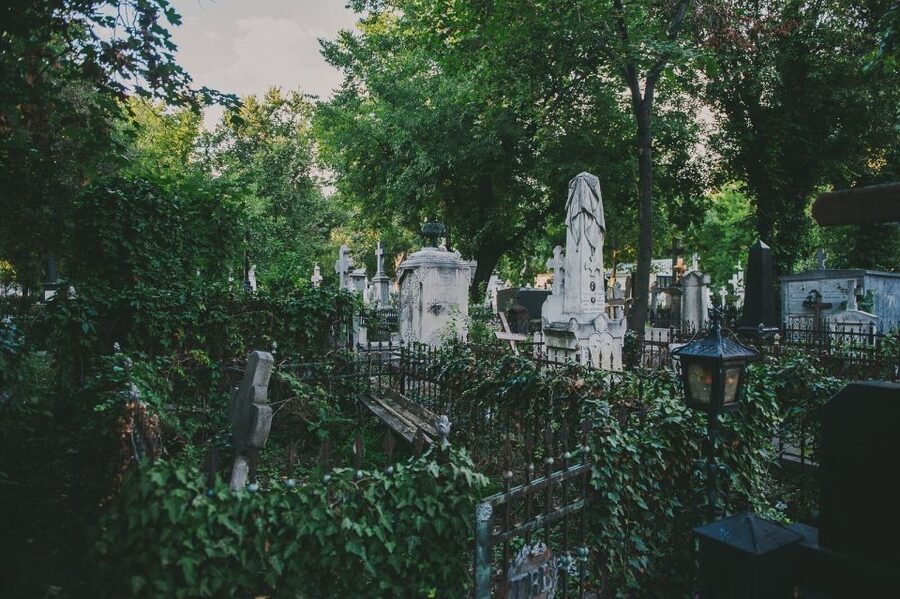 Bucharest: 3-Hour Dark History Tour with a Local - Price and value for a 3-hour dark history route