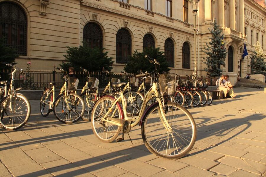 Bucharest Bike Rentals - Botanical Garden: A Calm Finish for Your Legs and Senses