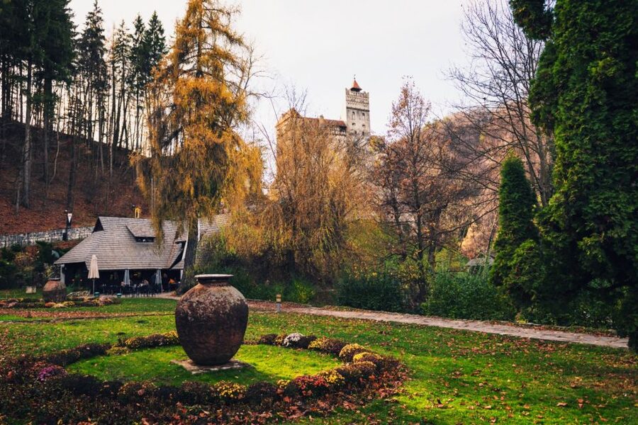 Bucharest: Bran Castle and Bear Sanctuary Small-Group Tour - Bucharest to Transylvania, but with a real small-group rhythm