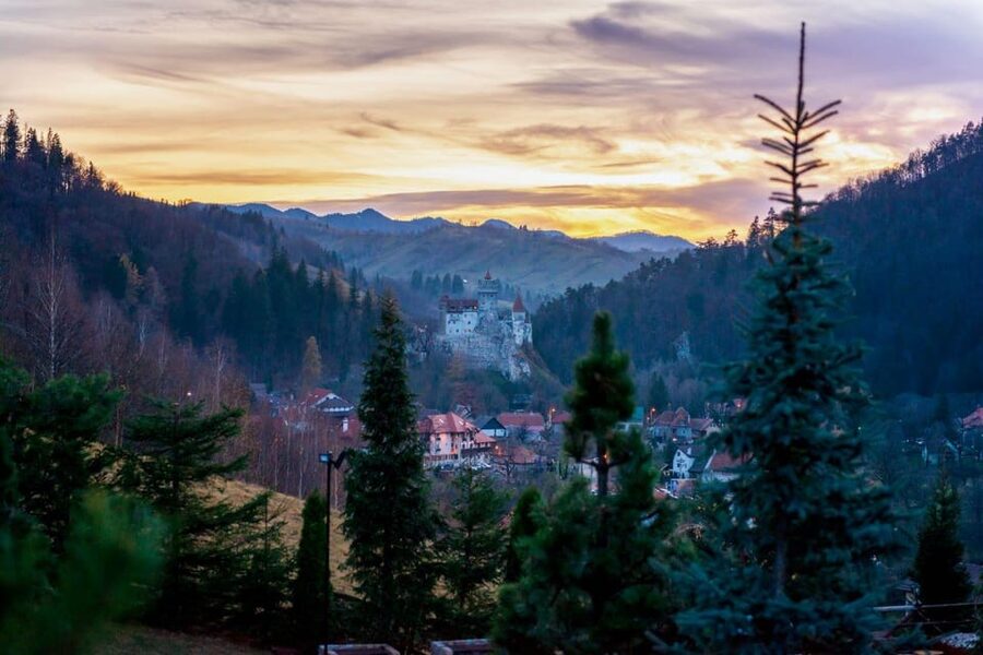 Bucharest: Bran Castle and Bear Sanctuary Small-Group Tour - Liberty Bear Sanctuary: natural forest viewing and the emotional weight
