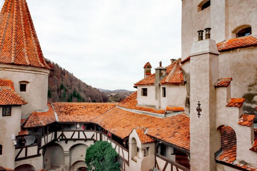 Bucharest: Bran Castle and Bear Sanctuary Small-Group Tour - Should you book this Bran Castle and Liberty Bear Sanctuary tour?