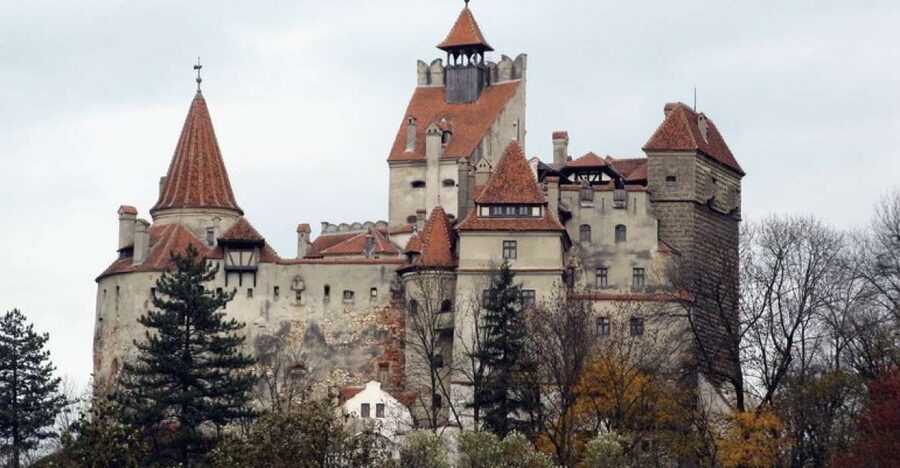 Bucharest: Bran & Peles Castle with Rasnov Citadel Day Trip - Key things I’d plan around