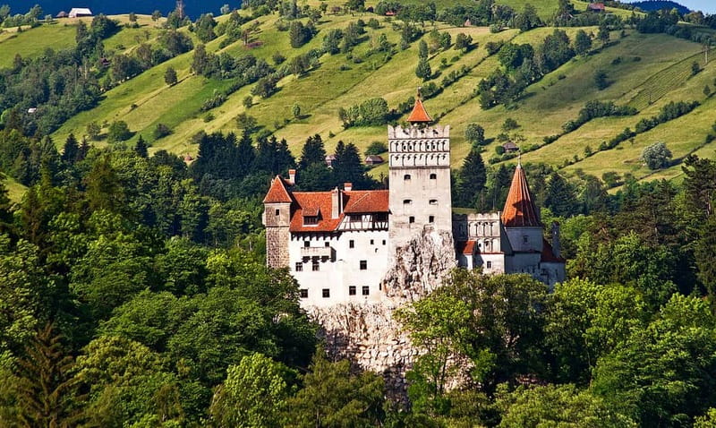 Bucharest: Day Trip to Bear Sanctuary, Bran Castle & Brasov - Key highlights worth planning around