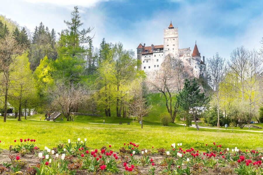 Bucharest: Day Trip to Dracula Castle, Peles Castle & Brașov - Brasov old town walking time: the medieval part that anchors it