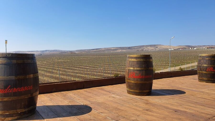 Bucharest: Dealu Mare Winery Private Trip with Wine Tasting - Key Things You Should Know Before You Go