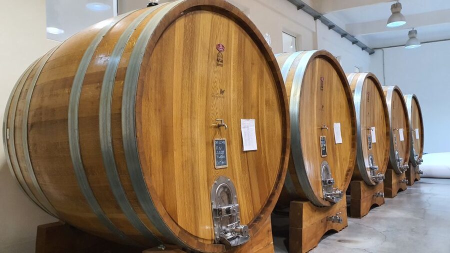 Bucharest: Dealu Mare Winery Private Trip with Wine Tasting - How the tastings and snacks actually help your day