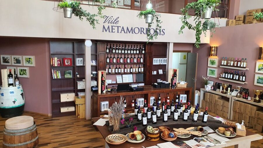Bucharest: Dealu Mare Winery Private Trip with Wine Tasting - Your English guide, and how to turn questions into insight