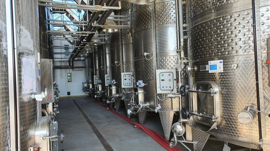 Bucharest: Dealu Mare Winery Private Trip with Wine Tasting - Who this Dealu Mare winery day suits best