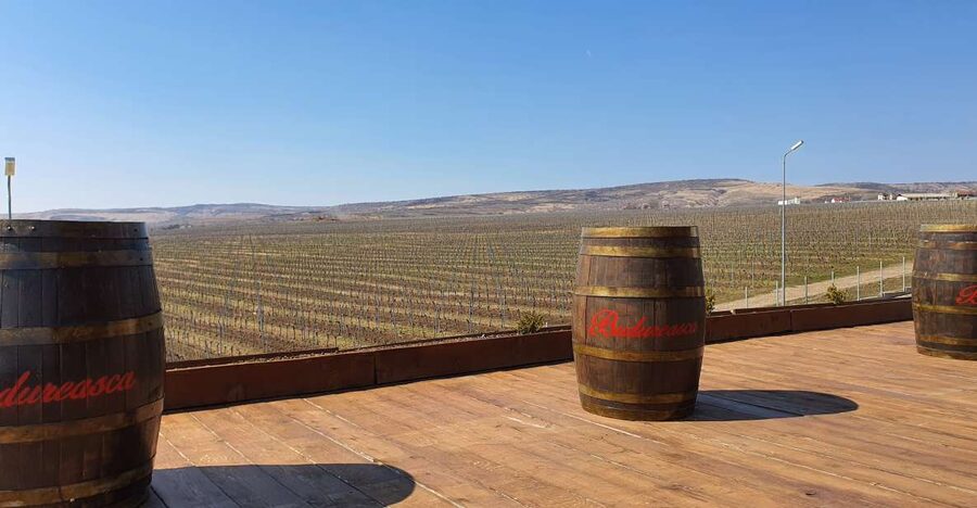 Bucharest: Dealu Mare Winery Private Trip with Wine Tasting - Visiting two winemakers and tasting about 7 wines