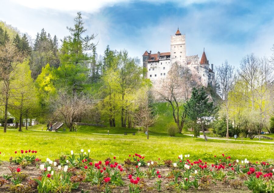Bucharest: Dracula Castle, Peles Castle & Brasov Guided Tour - Getting From Bucharest: Pickup Points and the Long Ride Factor