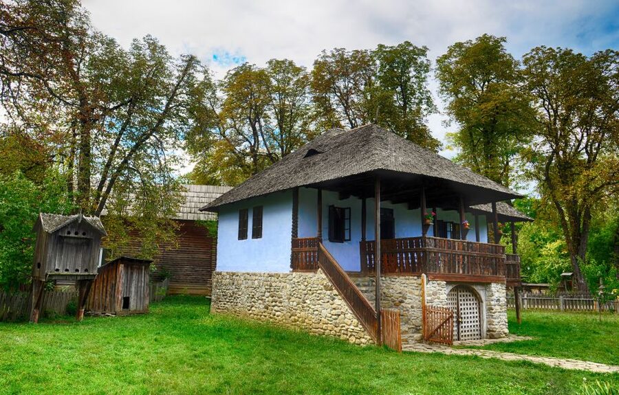 Bucharest: Half-Day Sightseeing Tour - Who This Tour Suits Best