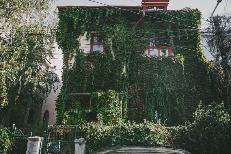 Bucharest: Hidden Gems 2.5-Hour Walking Tour - Guides can make or break it, and this one has examples