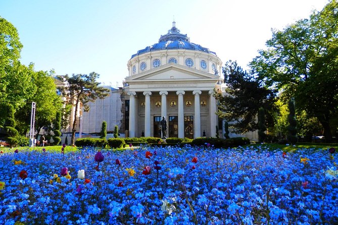 Bucharest Layover Tour (6 - Hour Private City Tour Between Flights) - Key things I’d watch before booking