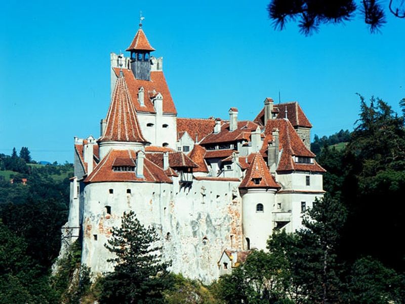 Bucharest: Peles Castle, Dracula's Castle and Brasov Tour - Key Highlights You’ll Notice Fast