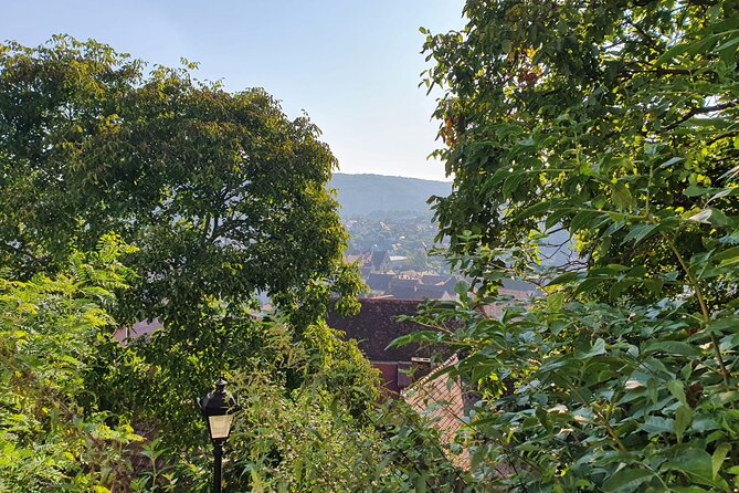 Bucharest Private Tour with Dracula's Grave and Ceaușescu Mansion - Key highlights worth planning for