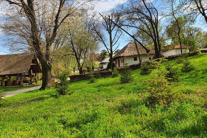Bucharest Private Tour with Dracula's Grave and Ceaușescu Mansion - Price and value: what $174.53 buys you here